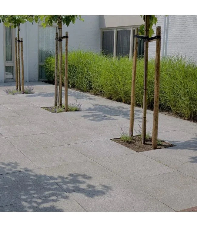 Schellevis Oudhollands Grijs Tegel 80x80x5 80x80x5cm Grijs