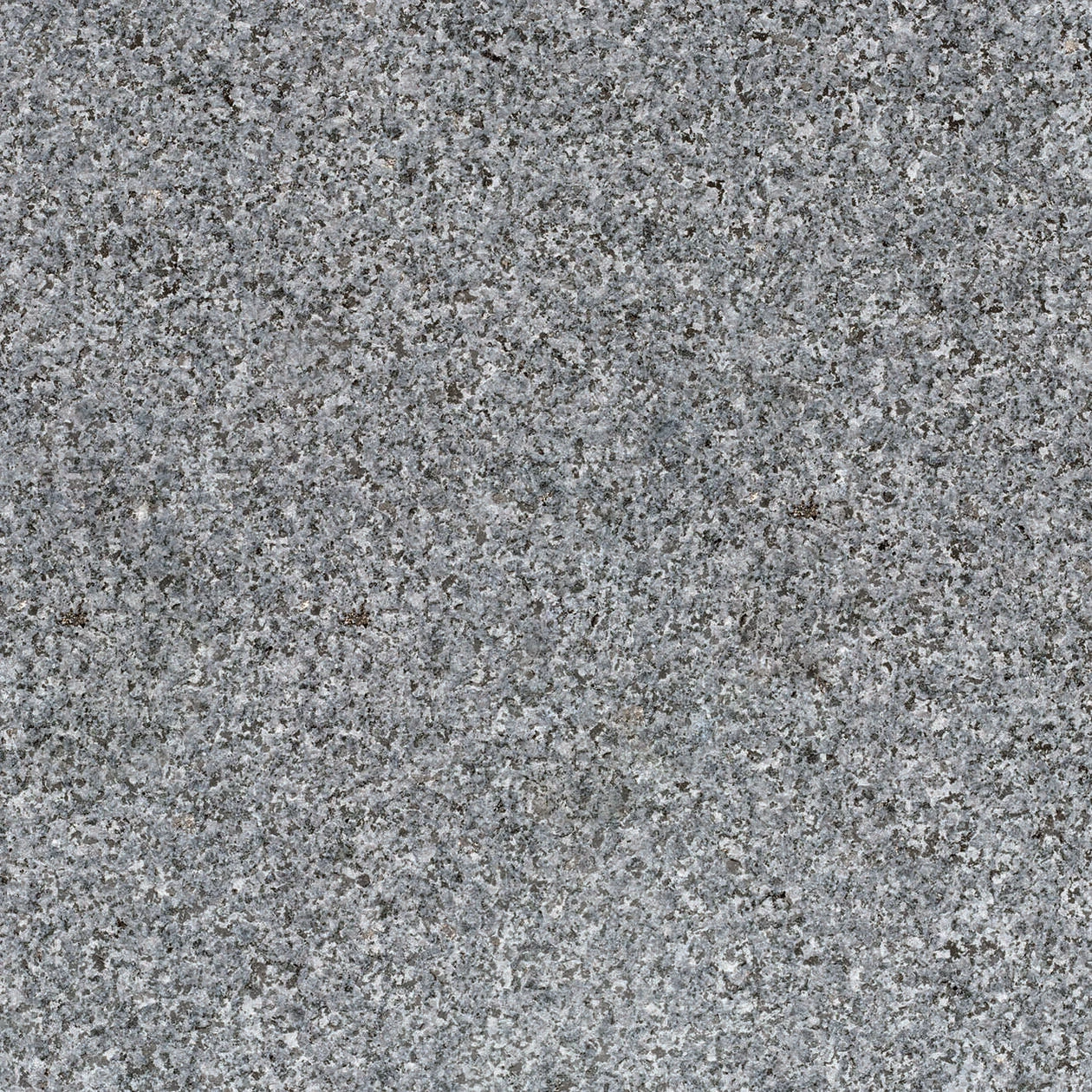 Tibet Dark Grey G654 60x60x3 cm