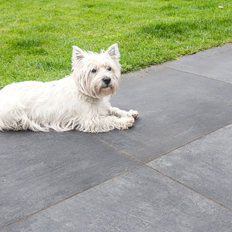 GeoCeramica® Ambiente 60x60x4cm Antracite