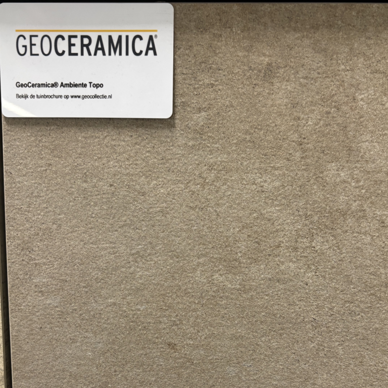GeoCeramica 60×60 Ambiente Greige Flower